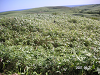 s_PICT0182_thumb.png